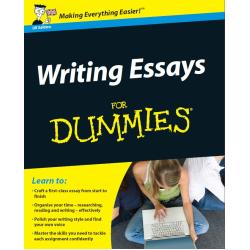essay for dummies book