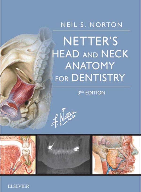 Netter's Head and Neck Anatomy for Dentistry