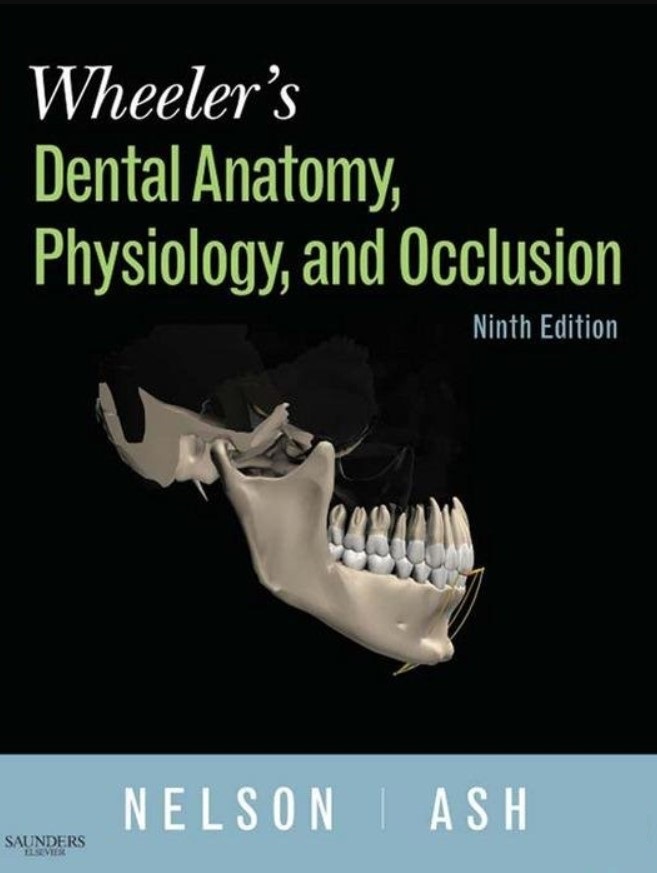 Wheeler's Dental Anatomy, Physiology and Occlusion