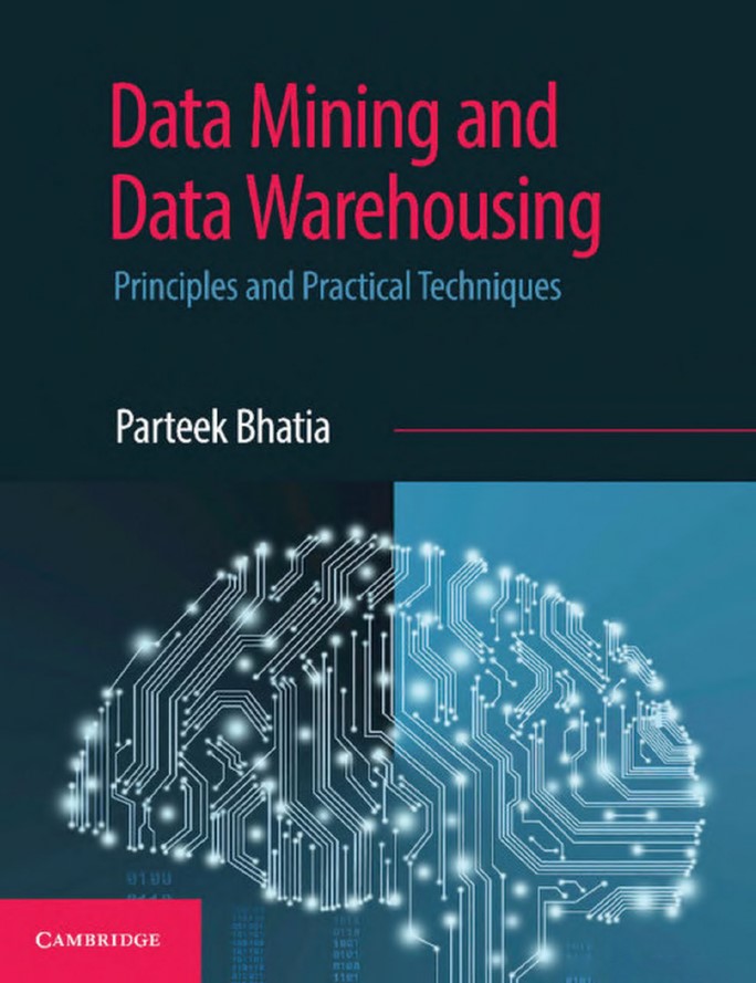 Data Mining and Data Warehousing: Principles and Practical Techniques