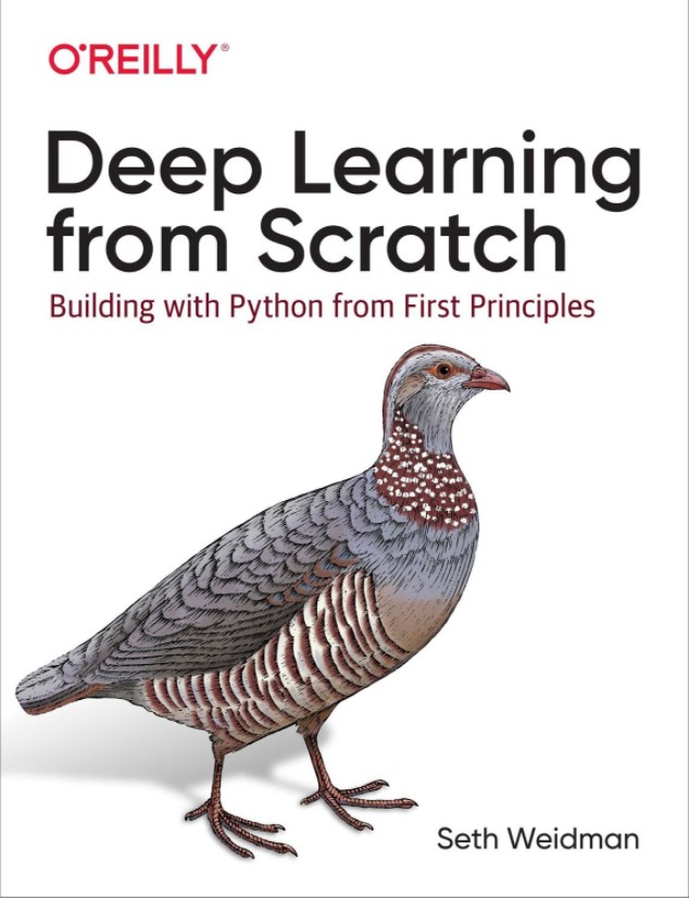 Deep Learning from Scratch: Building with Python from First Principles