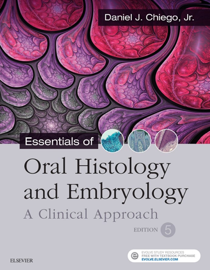 Essentials of Oral Histology and Embryology: A Clinical Approach