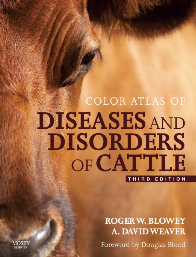Color Atlas of Diseases and Disorders of Cattle