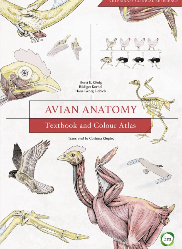 Avian Anatomy: Textbook and Colour Atlas